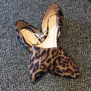 Leopard A New Day Flats